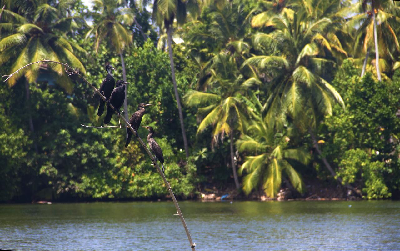New Shangrela Beach Resort Ambalangoda  Exterior foto